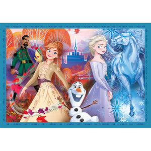 Disney Frozen - 1x12 + 1x16 + 1x20 + 1x24 pieces