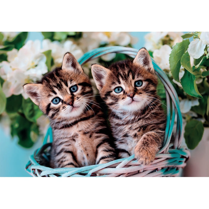 Lovely Kitty Twins - 60 pieces