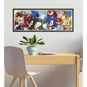 Sonic - 1x60 + 2x48 + 4x30 + 3x18 pieces