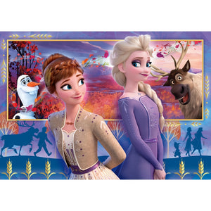 Disney Frozen 2 - 60 pieces