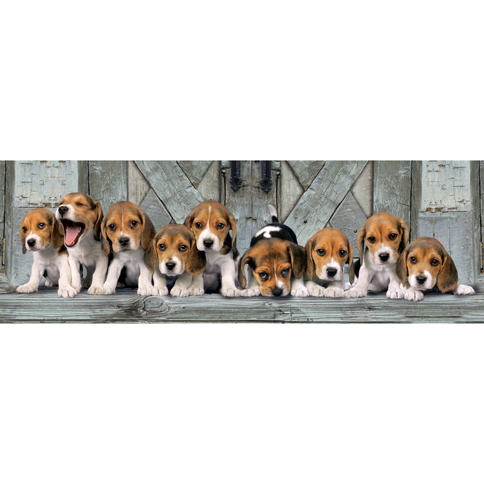 Beagles - 1000 pieces