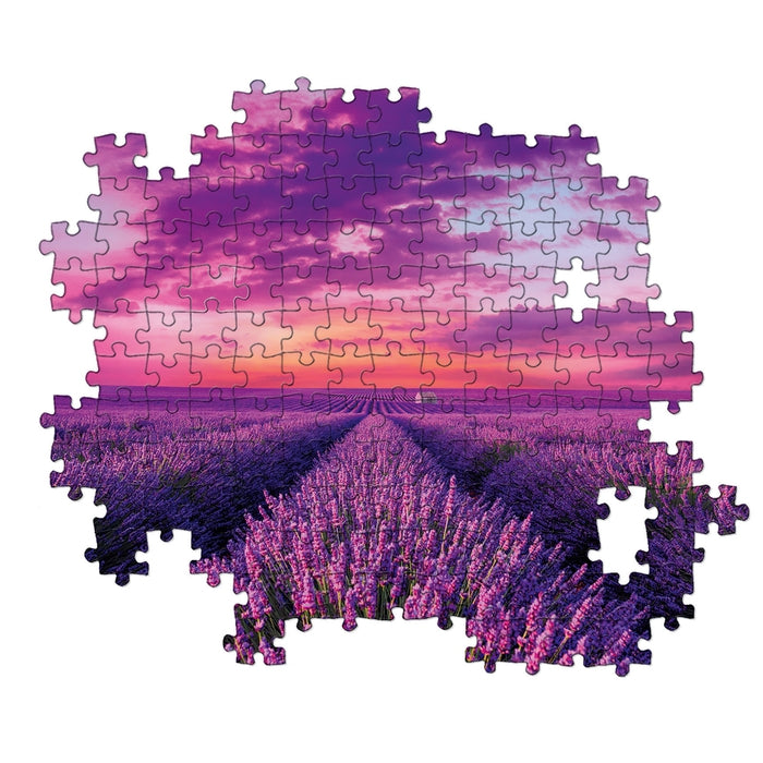 Lavender Field - 1000 pieces