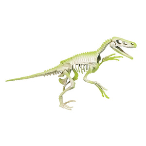 Dig Line Velociraptor